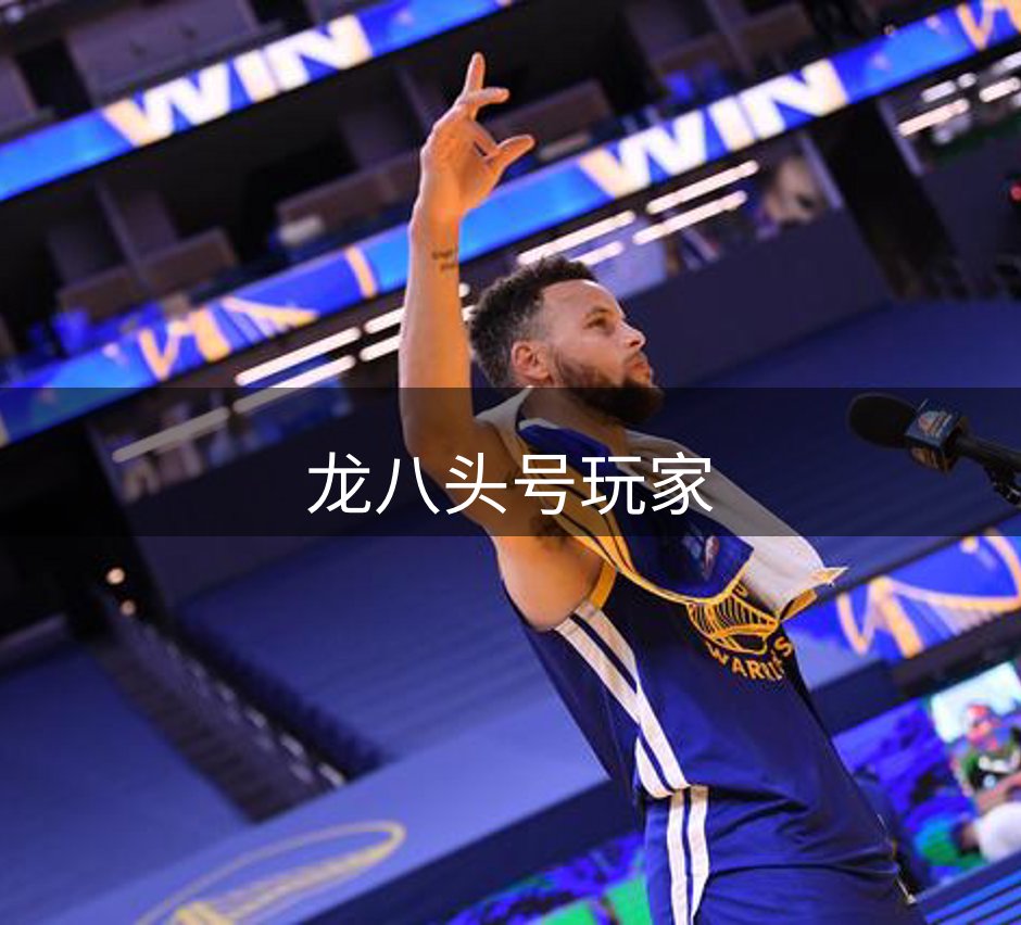 网站概况